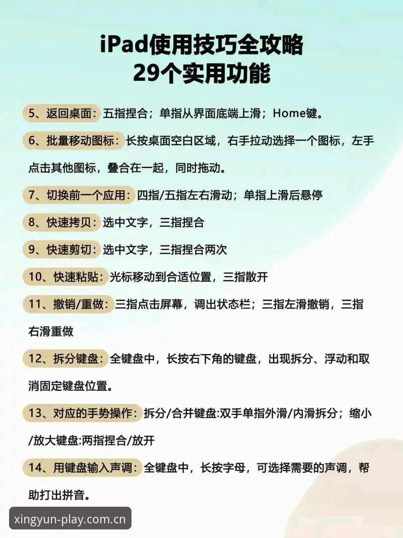 XINGYUN体育平台 杏运体育平台移动端实用指南:从下载到互动的完整操作手册
